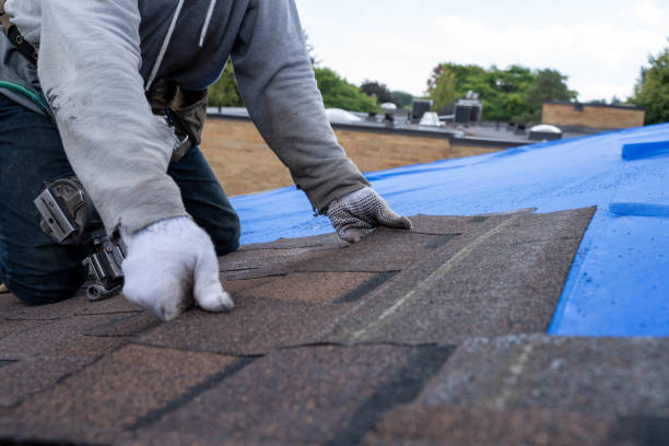 Best Commercial Roofing Services  in Thomasboro, IL