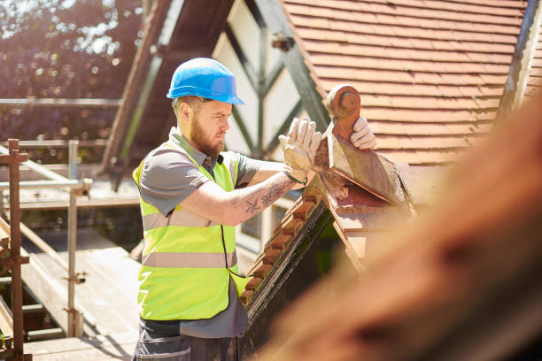 Best Roof Waterproofing Services  in Thomasboro, IL